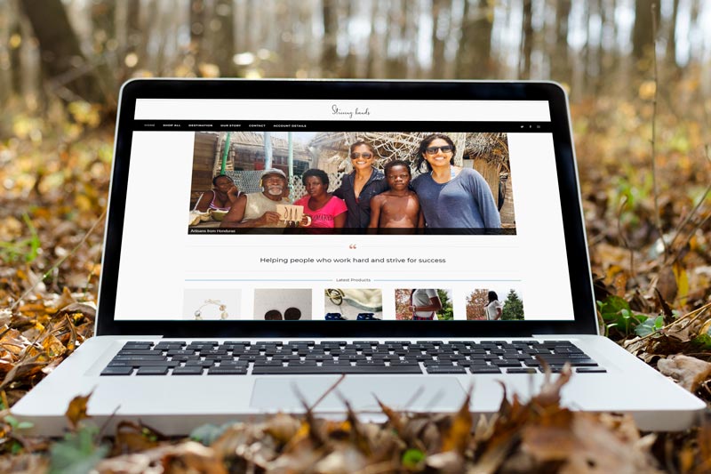 Striving Hands Website Design - Shadelic Design House